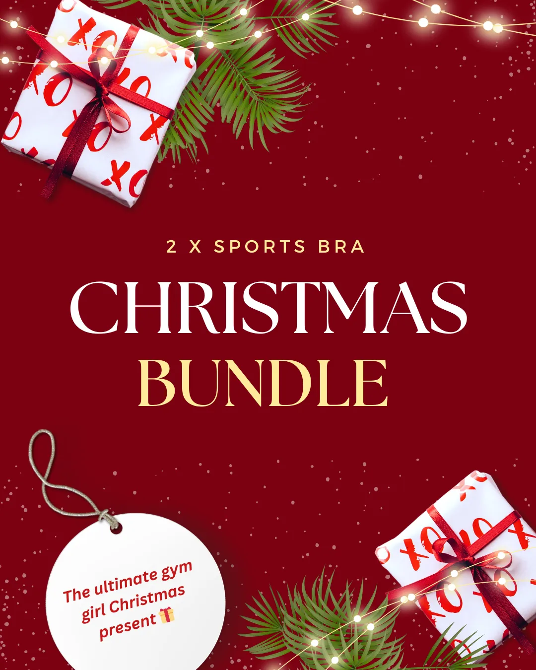 Christmas Bundle 2 x Sports Bra