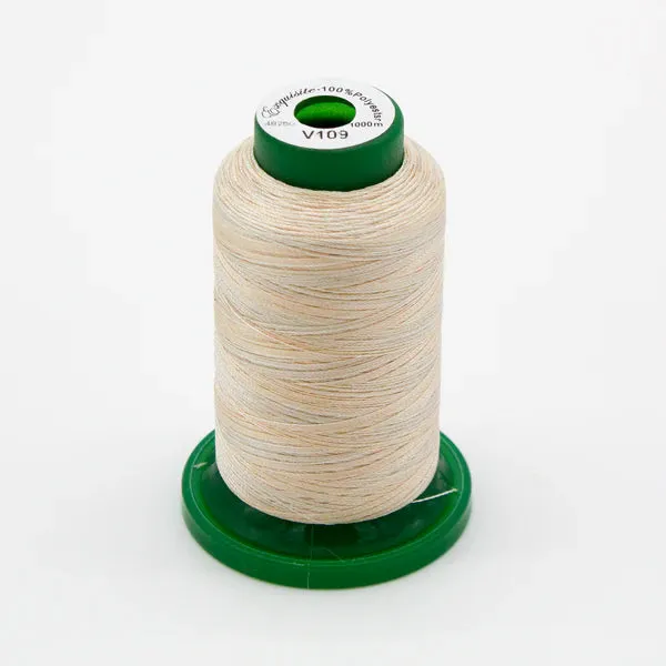 Exquisite Medley Variegated Thread - Desert Canyon 1000M V109