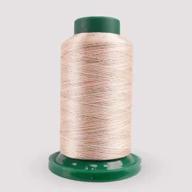 Exquisite Medley Variegated Thread - Desert Canyon 1000M V109