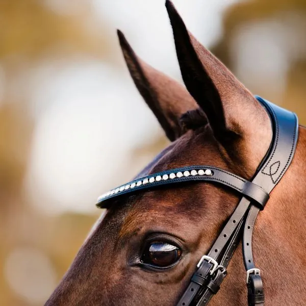 Lumiere Swarovski Crystal Browband