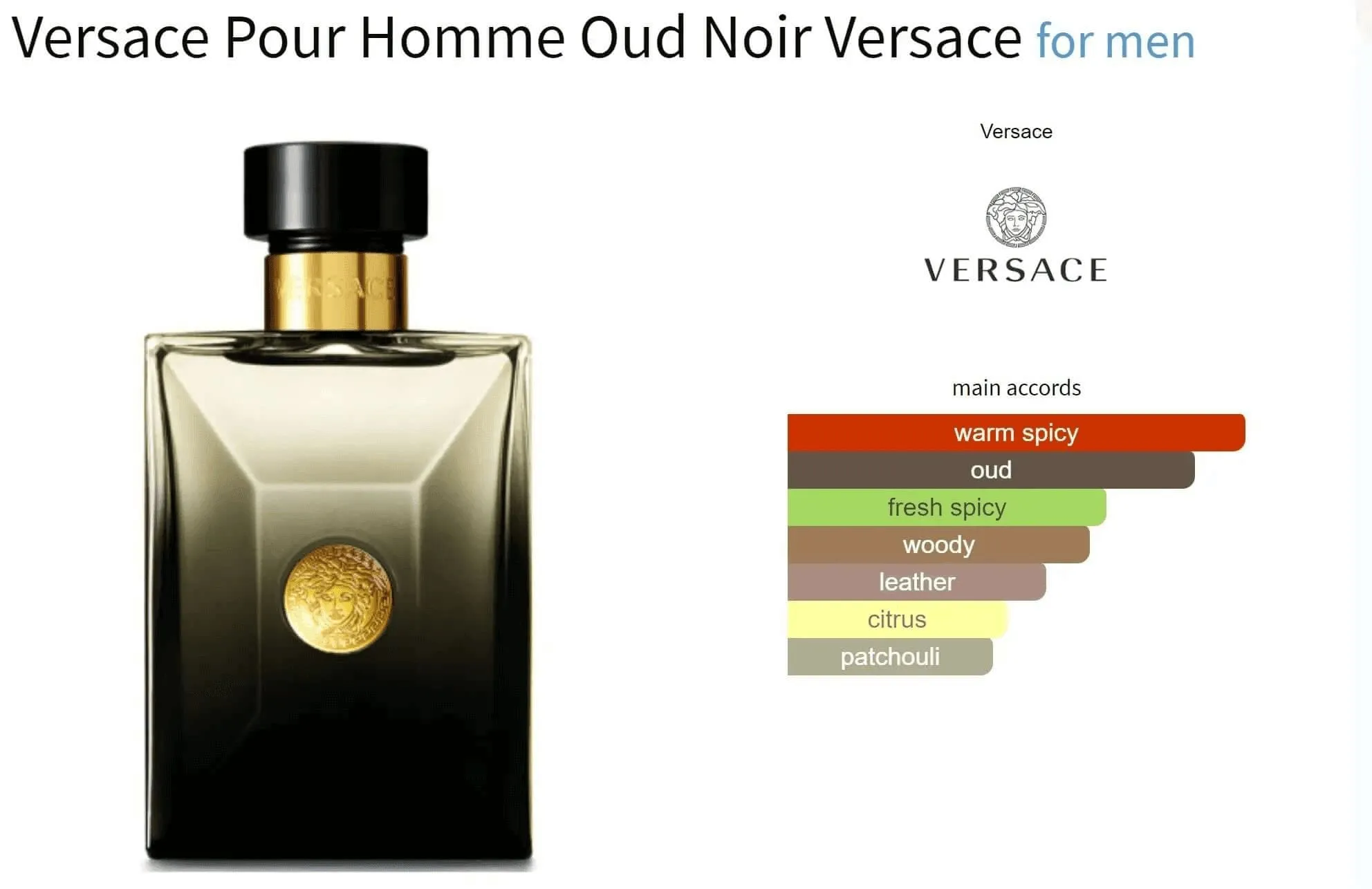 Versace Pour Homme Oud Noir Versace for men Decant Fragrance Samples